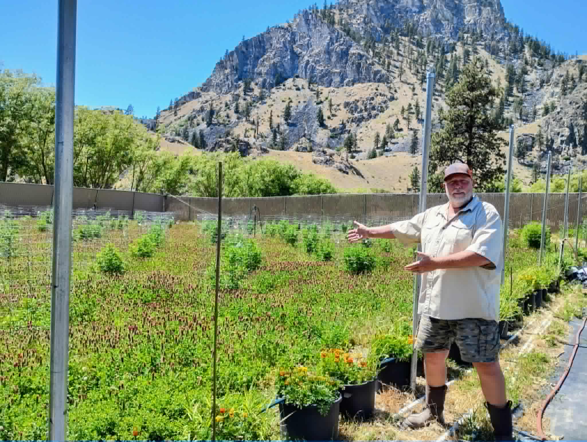 Jeff Oberfelder in the field among the crimson clover cover crop, Chelan mountains behind him