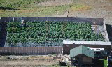 Oberfelder Farm